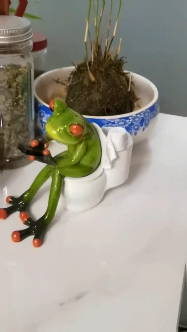 Amazon.com: VVGIFTS Frog Figurines Decor Funny Cute Craft Resin